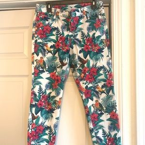 Tommy Bahama parrot pants